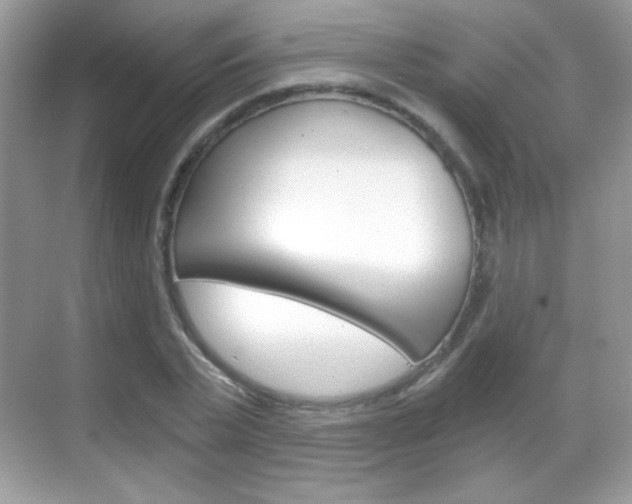 X0000068850783200605051016