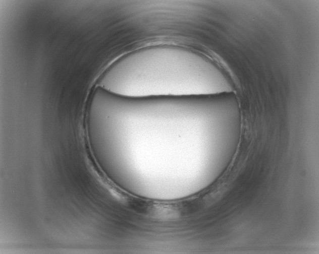 X0000068850794200605051016