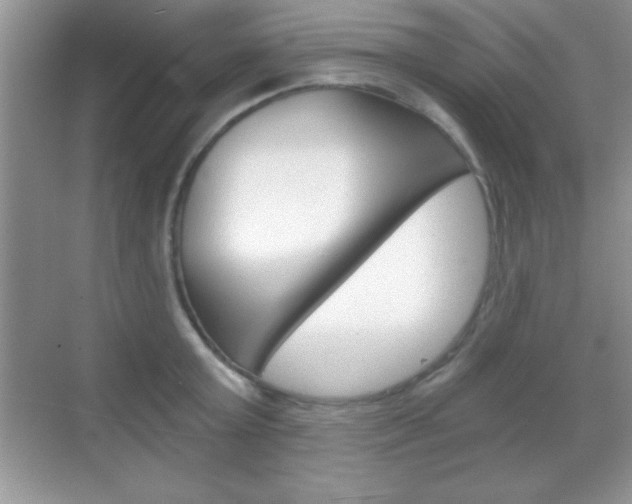 X0000068850803200605051016
