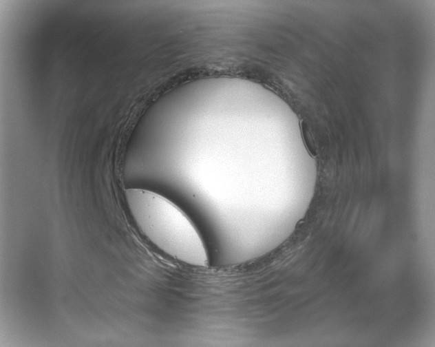 X0000068850817200605051015