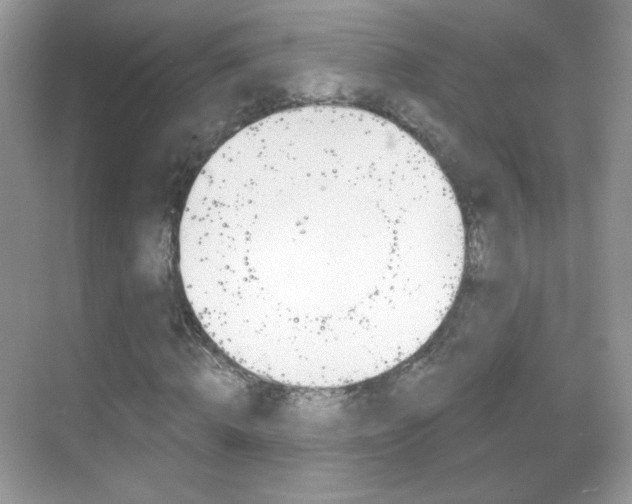 X0000068850820200605051015