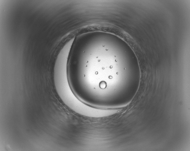 X0000068850822200605051015
