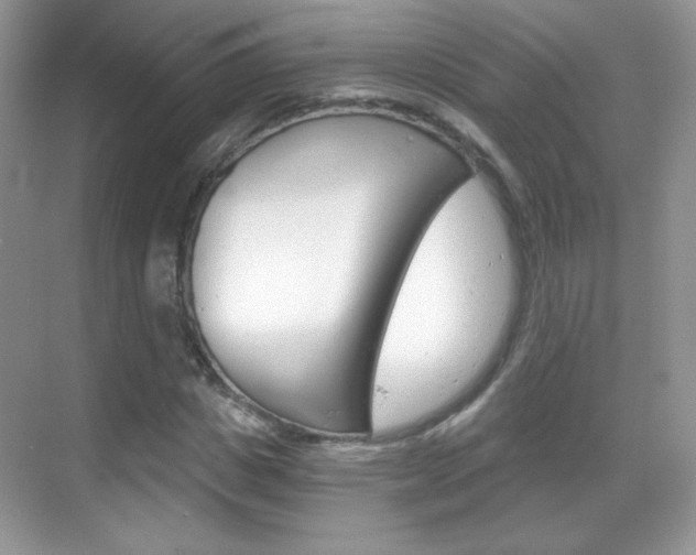 X0000068850825200605051015