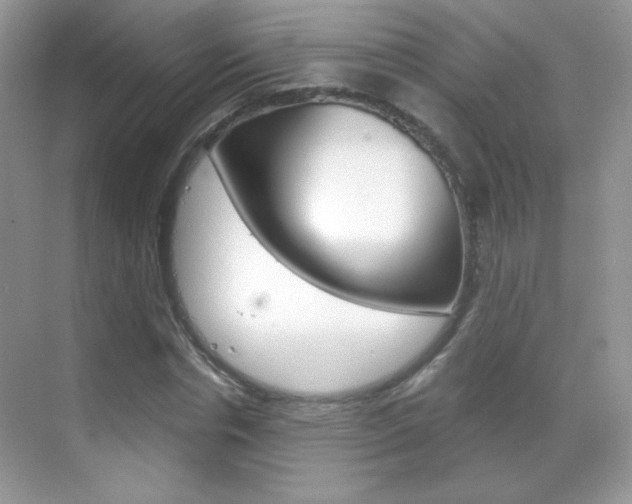 X0000068850826200605051015