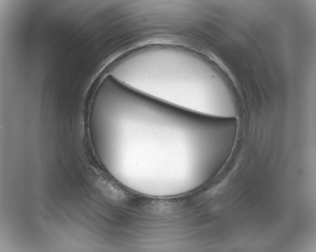 X0000068850829200605051015