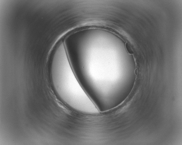 X0000068850830200605051015