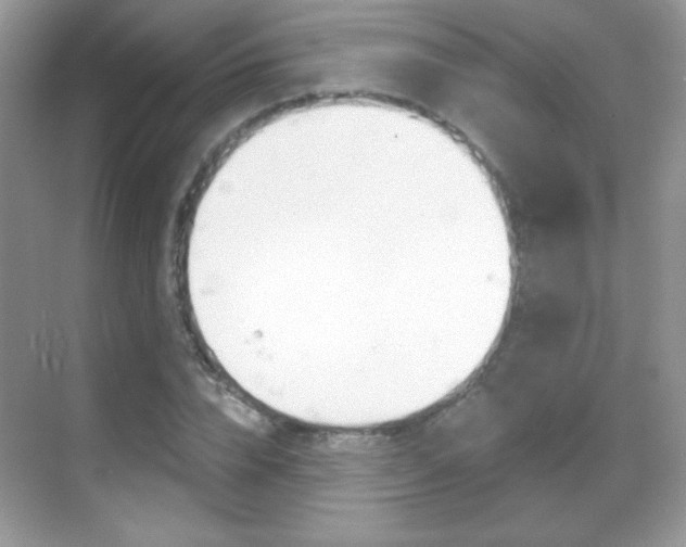 X0000068850832200605051015