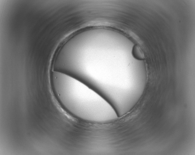 X0000068850840200605051015