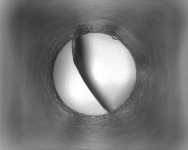X0000068850865200605051015