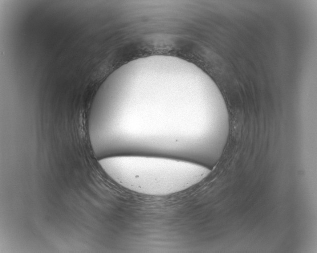 X0000068850866200605051015