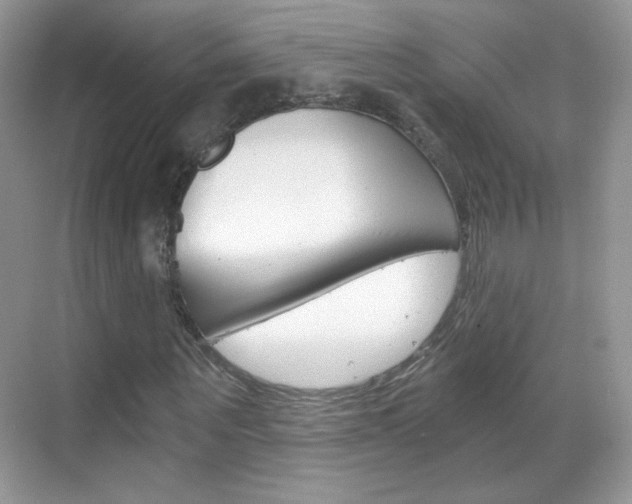 X0000068850867200605051015