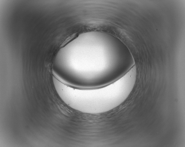 X0000068850868200605051015