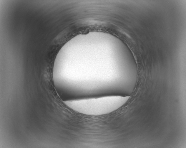 X0000068850869200605051015