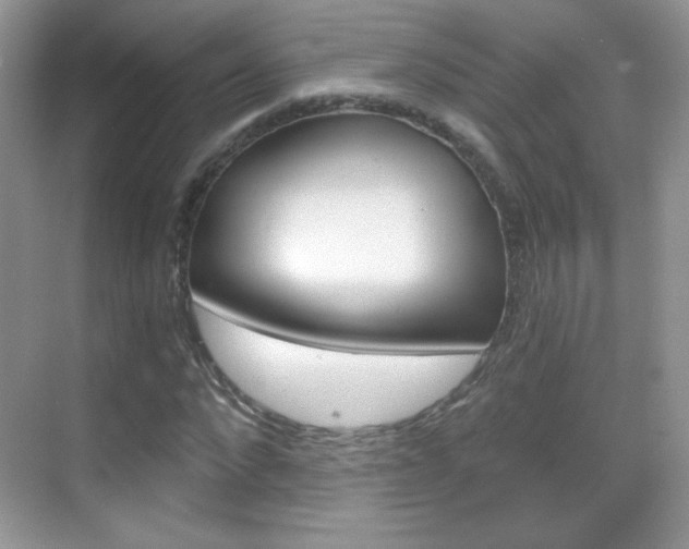 X0000068850872200605051015