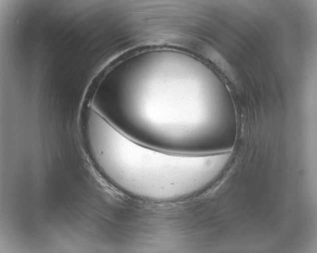 X0000068850876200605051015