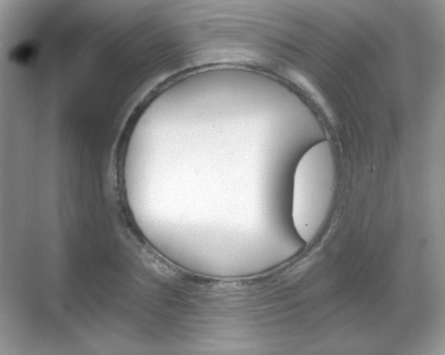 X0000068850883200605051015
