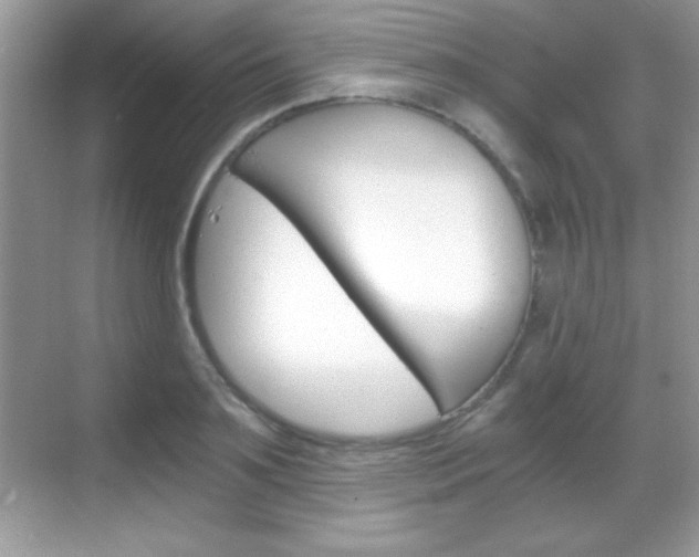 X0000068850891200605051015