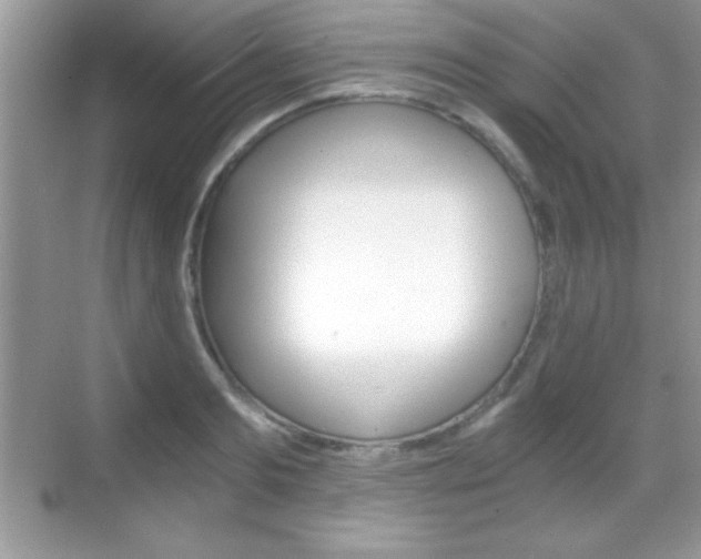 X0000068850893200605051015