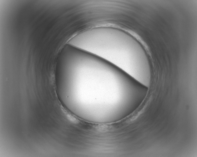 X0000068850897200605051015