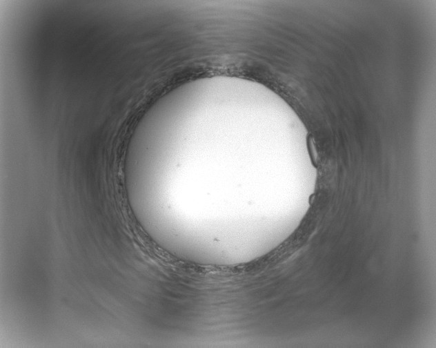 X0000068850913200605051013