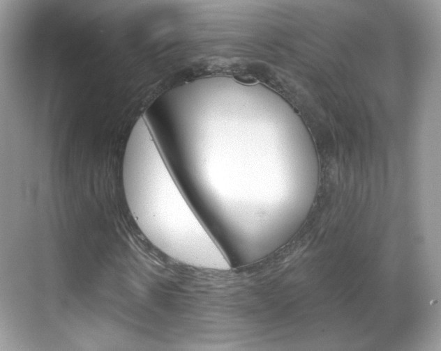 X0000068850914200605051014