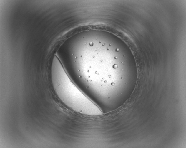 X0000068850920200605051014
