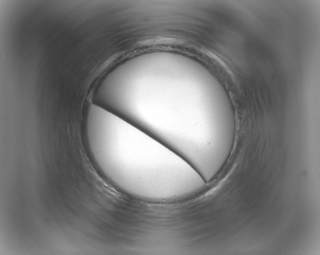 X0000068850921200605051014