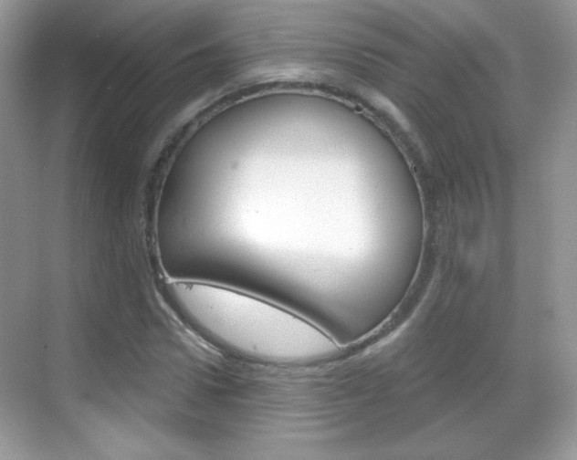 X0000068850922200605051014