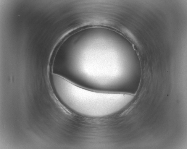 X0000068850932200605051014