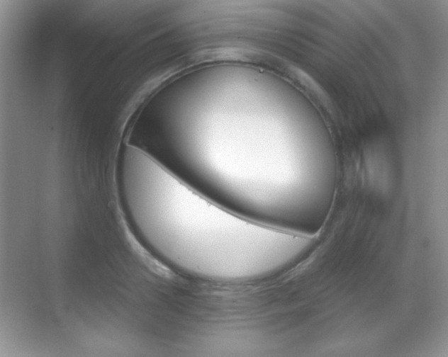 X0000068850938200605051014