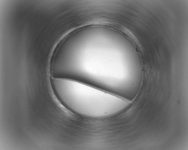 X0000068850939200605051014