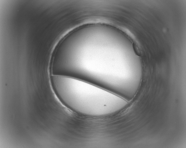 X0000068850943200605051014