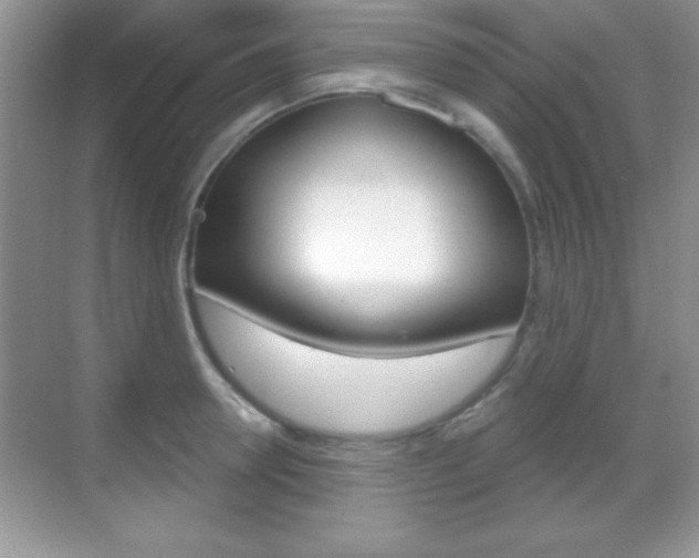 X0000068850946200605051014