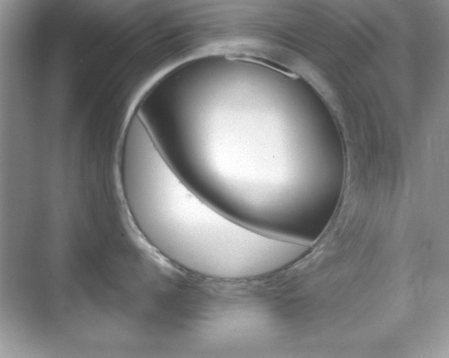 X0000068850960200605051014