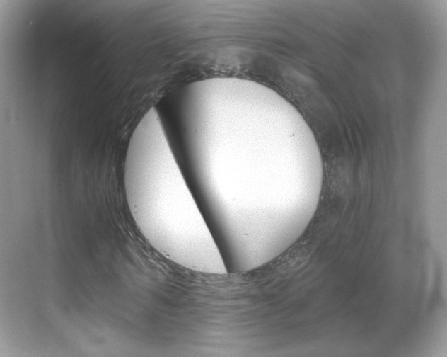 X0000068850962200605051013