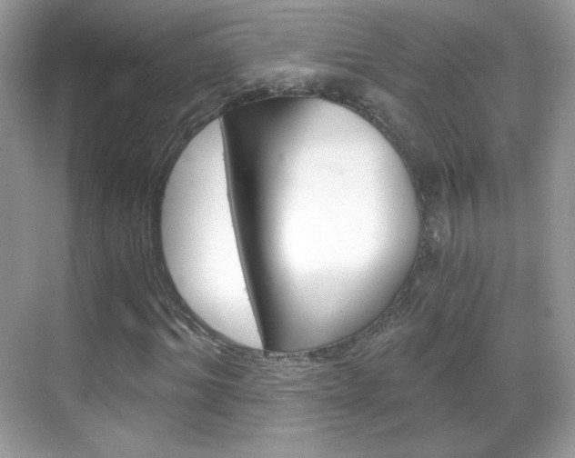 X0000068850964200605051013