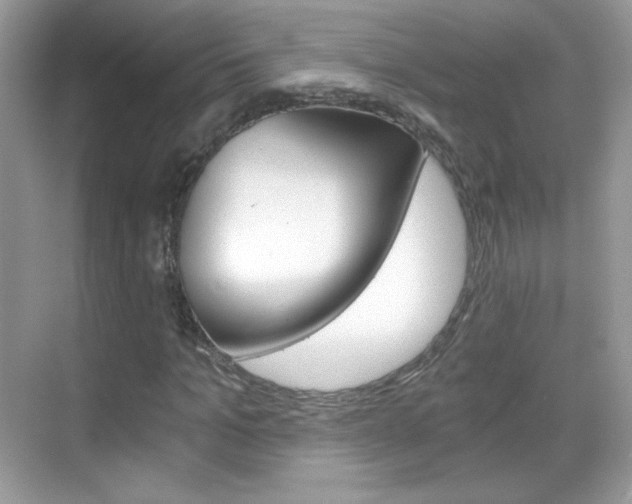 X0000068850965200605051013