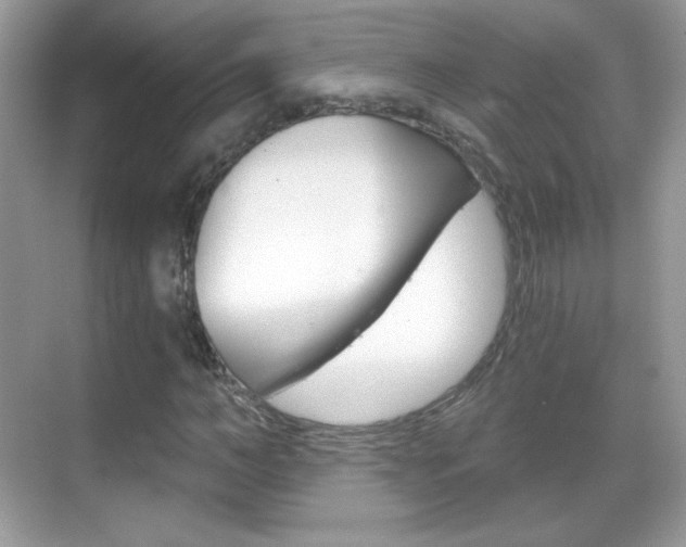 X0000068850966200605051013