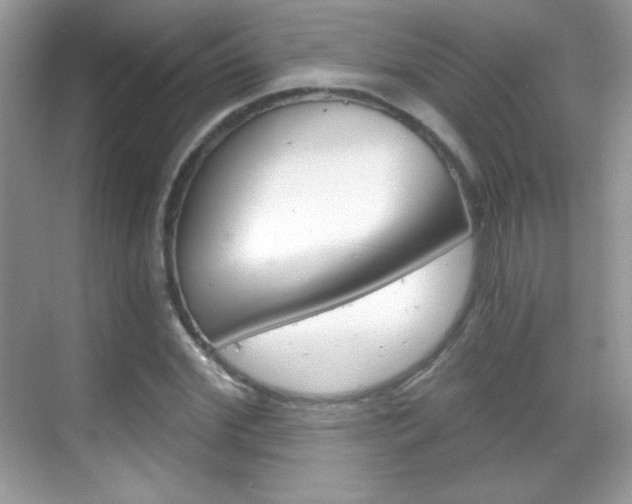 X0000068850972200605051013