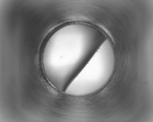 X0000068850975200605051013