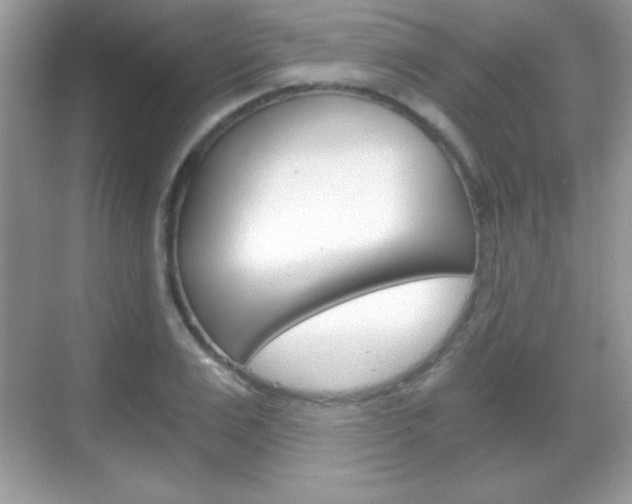 X0000068850983200605051013