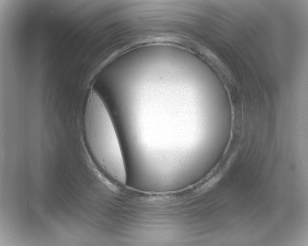 X0000068850985200605051013