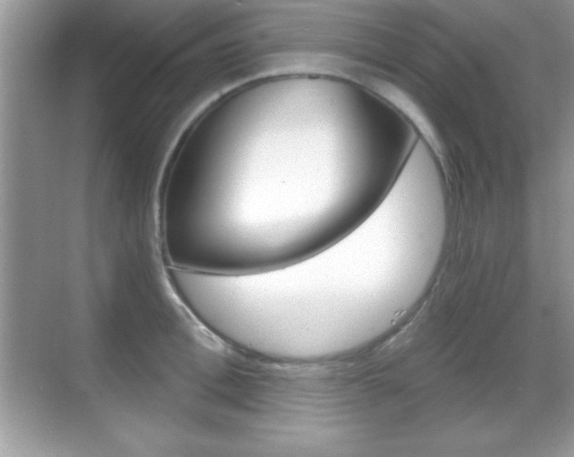 X0000068850996200605051013
