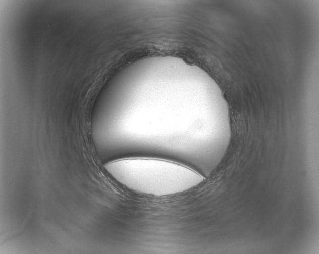 X0000068851009200605051012
