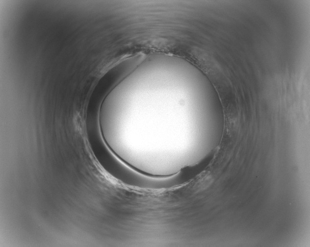 X0000068851010200605051012