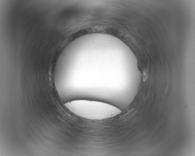 X0000068851011200605051012