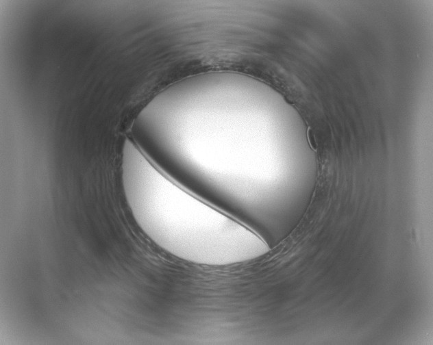 X0000068851012200605051012