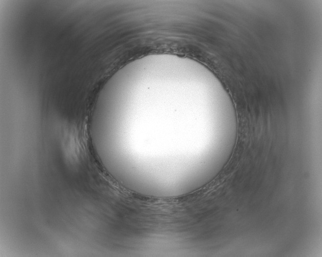 X0000068851013200605051012