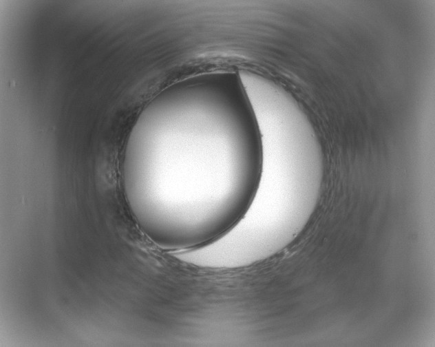 X0000068851014200605051012