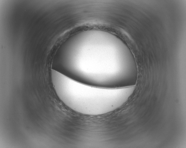 X0000068851016200605051012